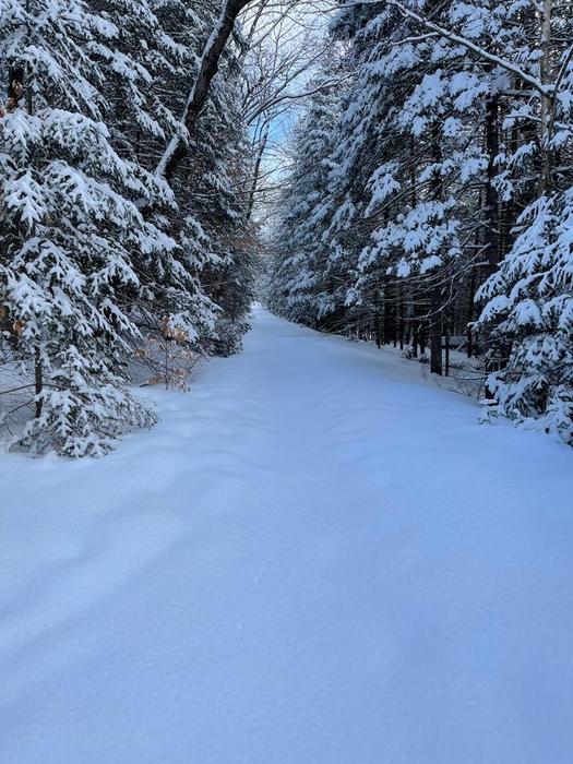 Plenty of room to snow shoe two across (Credit: Alon)