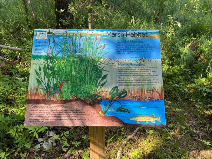 Sign by lookout (Credit: Chris Young)