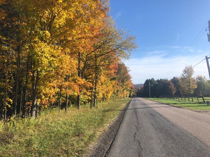 (Credit: Charles Shaw)