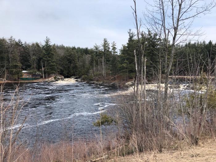 (Credit: Charles Shaw)