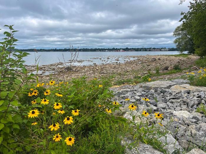 Along the river (Credit: Vanessa R.)