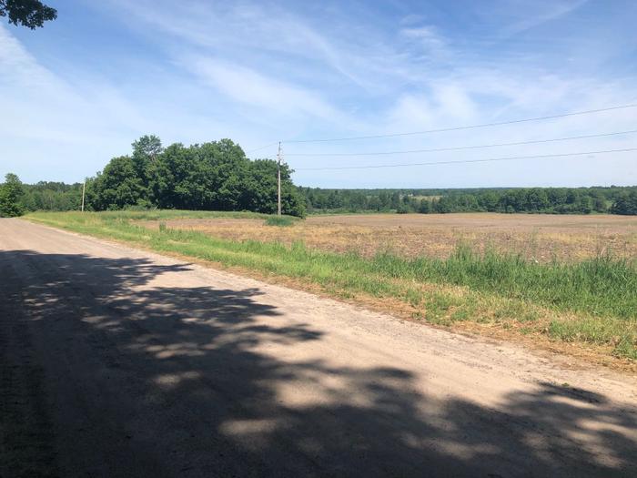 (Credit: Charles Shaw)