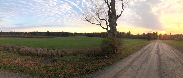 (Credit: Charles Shaw)