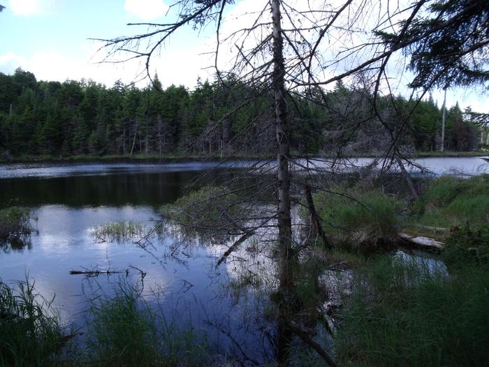 (Credit: http://www.cliftonfineadk.com/)