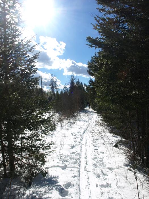 (Credit: http://www.cliftonfineadk.com/)