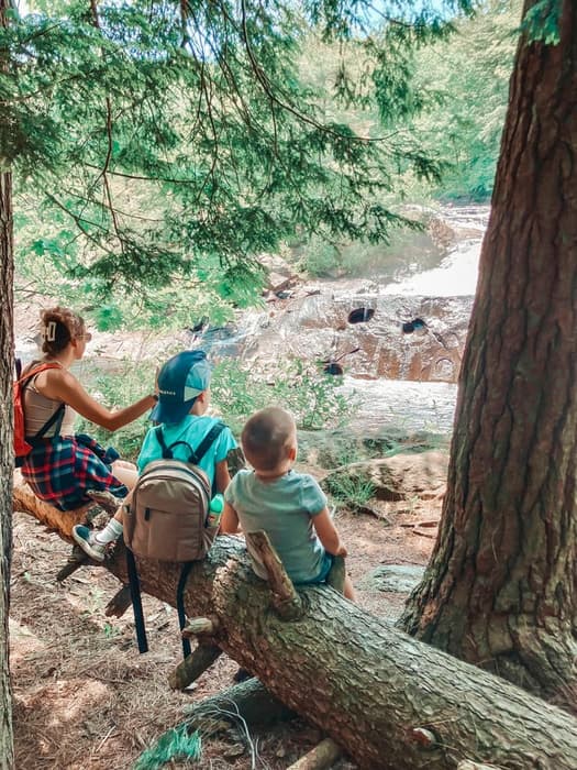Mom & boys on the trail (Credit: Marissa N.)
