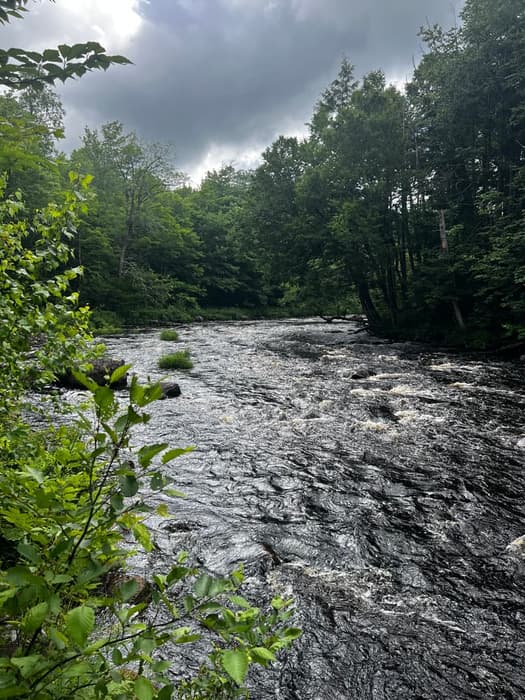 Upriver (Credit: Wymberley Pfalmer)