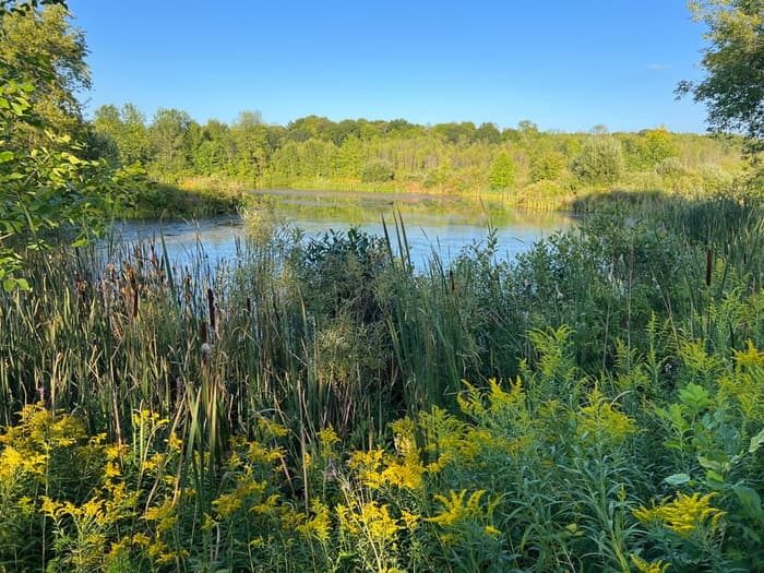 Summer at Red Barn (Credit: K.S)