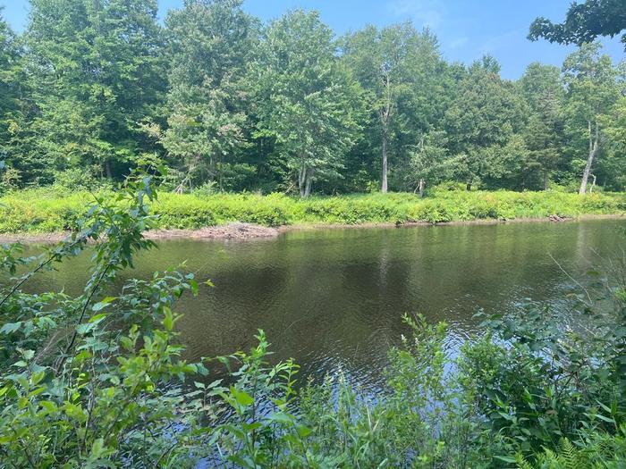 Foot trail past the falls