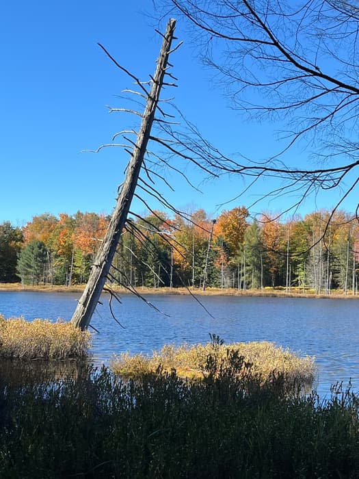 Lost Pond Dressed in Fall Colors (Credit: Karen Noyes)