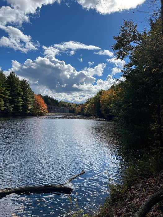 Raquette River (Credit: Karen Noyes)