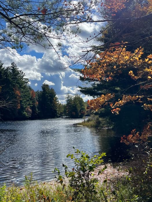 Beautiful Day Along the Raquette River (Credit: Karen Noyes)