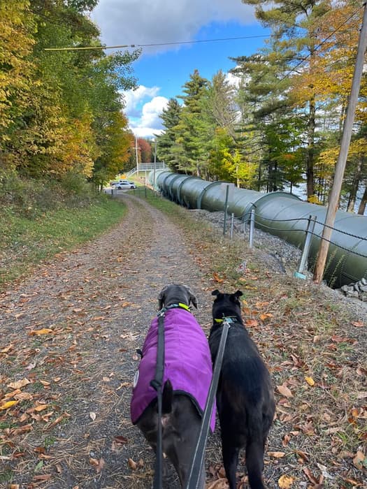 Sand Stone Trail (Credit: Karen Noyes)