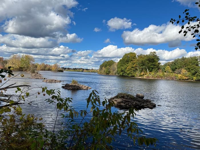 On Sugar Island (Credit: Karen Noyes)