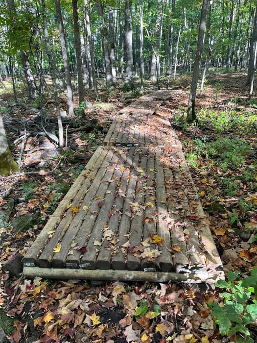 Love this boardwalk idea (Credit: Karen Noyes)