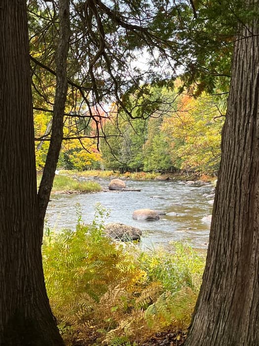 St. Regis River (Credit: Karen Noyes)