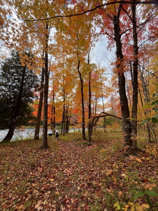Trail ahead (Credit: Karen Noyes)