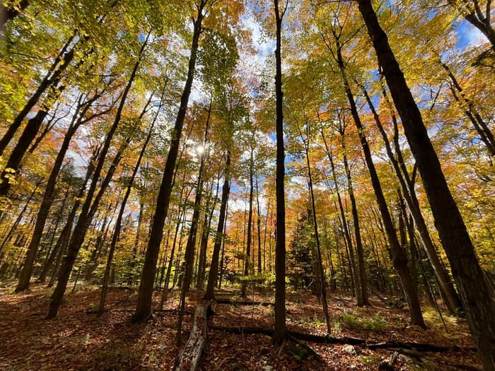 Color off the Ground (Credit: Karen Noyes)