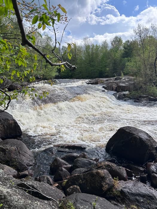 (Credit: Brooke Jones)