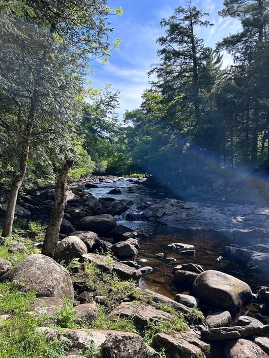 (Credit: Brooke Jones)