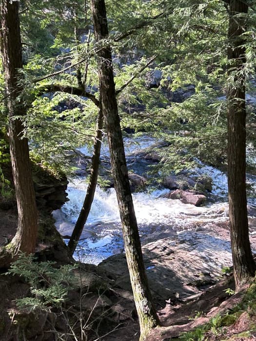 (Credit: Brooke Jones)