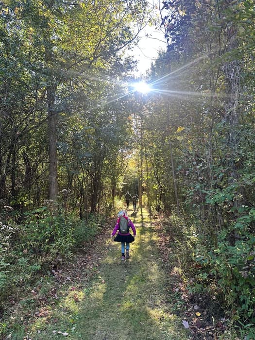 Flat grassy trail through sun lit woods (Credit: Sarah Reynolds)