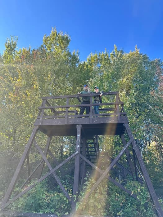 Overlook tower (Credit: Sarah Reynolds)