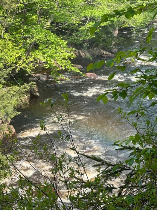 Rainbow Falls (Credit: 6/3/2025)