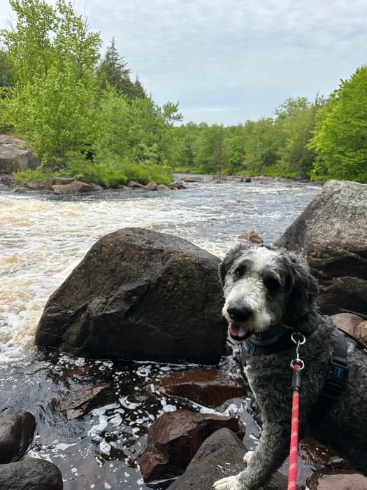 Titan at Sinclair Falls (Credit: Eowyn Doud)
