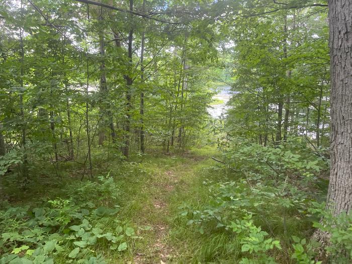 (Credit: Charles Shaw)