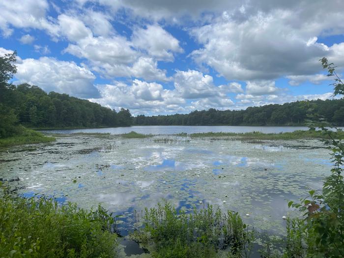 (Credit: Charles Shaw)