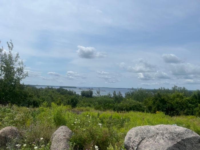 (Credit: Charles Shaw)