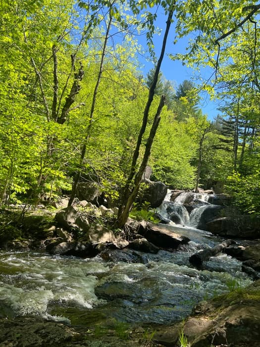 The falls (Credit: Abbey)