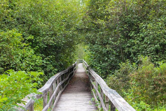 Boardwalk (Credit: Vanessa R.)