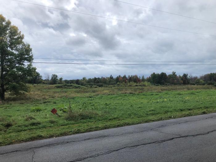 (Credit: Charles Shaw)