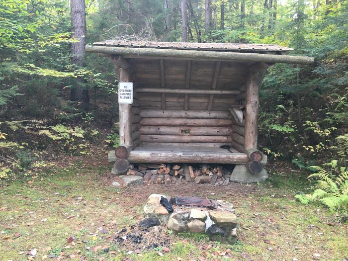 (Credit: Ethan Townsend)