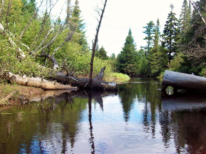expect some tight spots along the way (Credit: Wm Hill- Hiking the Trail to Yesterday)