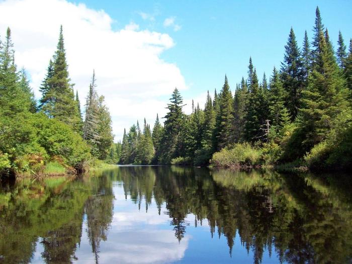 the Oswegatchie river (Credit: Wm Hill- Hiking the trail to yesterday)
