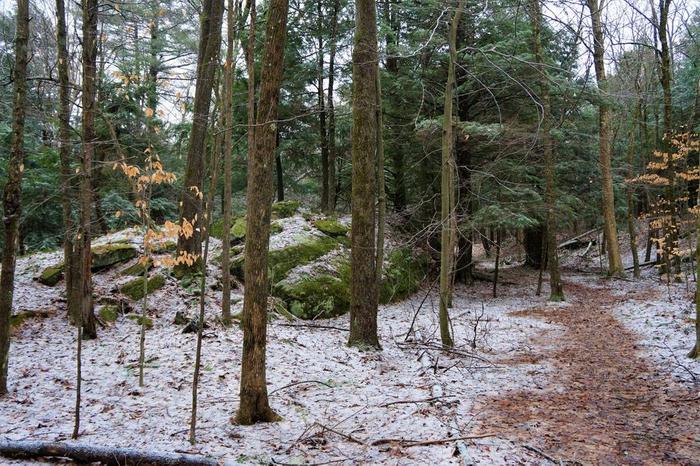 Along the blue trail at Glenmeal state forest (Credit: Wm Hill- Hiking the trail to yesterday)