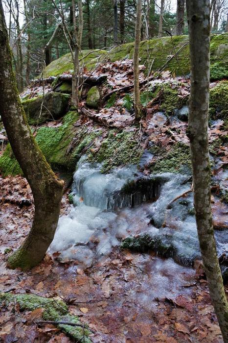 plenty of interesting things to see on the trails (Credit: Wm Hill - Hiking the Trail to Yesterday)