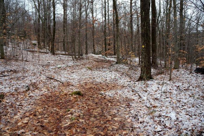 yellow trail (Credit: Wm Hill - Hiking the Trail to Yesterday)