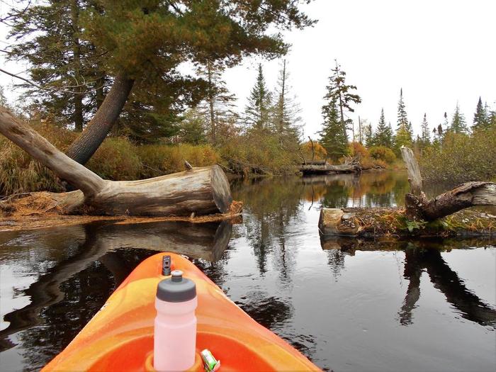 close quarters (Credit: Wm Hill- Hiking the trail to yesterday)