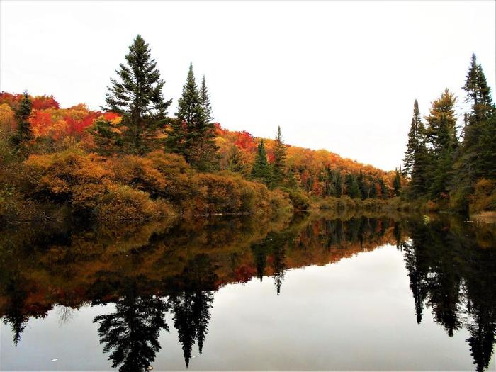 Autumn is spectacular on the Oswegatchie (Credit: Wm Hill- Hiking the trail to yesterday)