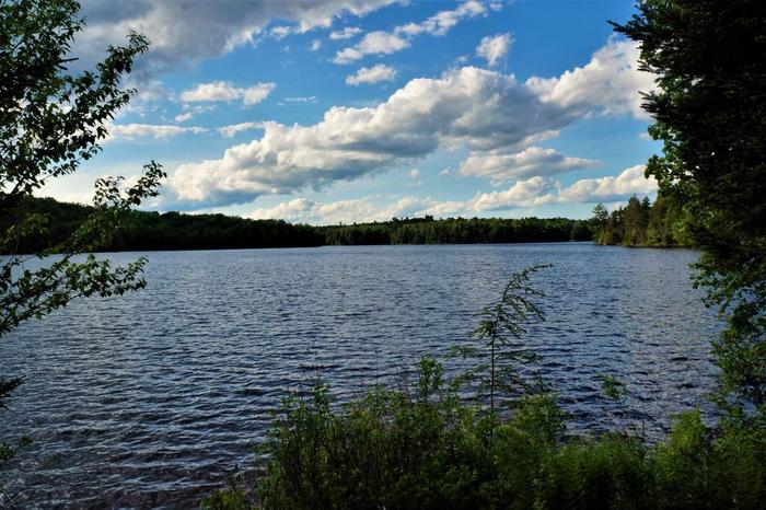 Dead creek flow from Janack's Landing (Credit: Wm Hill- Hiking the trail to yesterday)