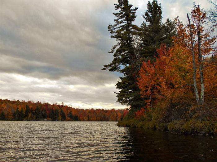 Nick's Pond (Credit: https://hikingthetrailtoyesterday.wordpress.com/)
