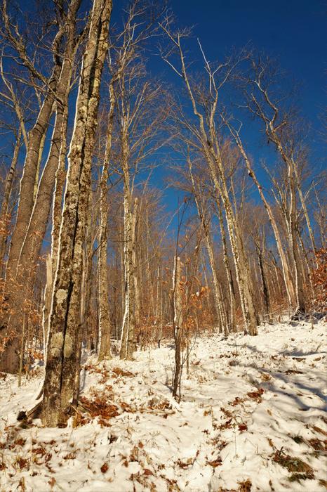 One of the steeper sections of the trail (Credit: Hiking the Trail to Yesterday)