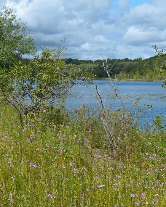 Robinson Bay (Credit: Nicandri Nature Center)