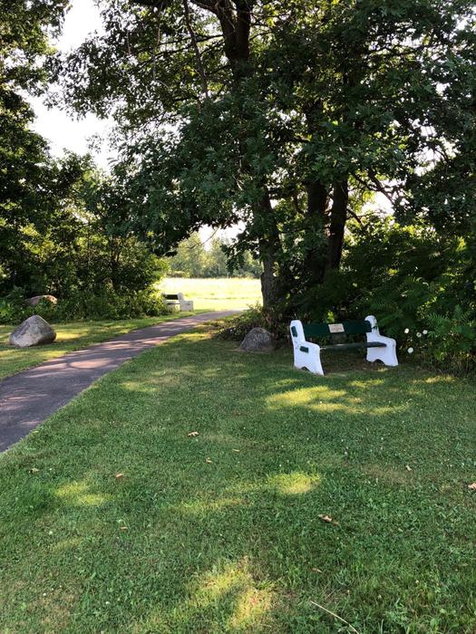 A park bench along the trail