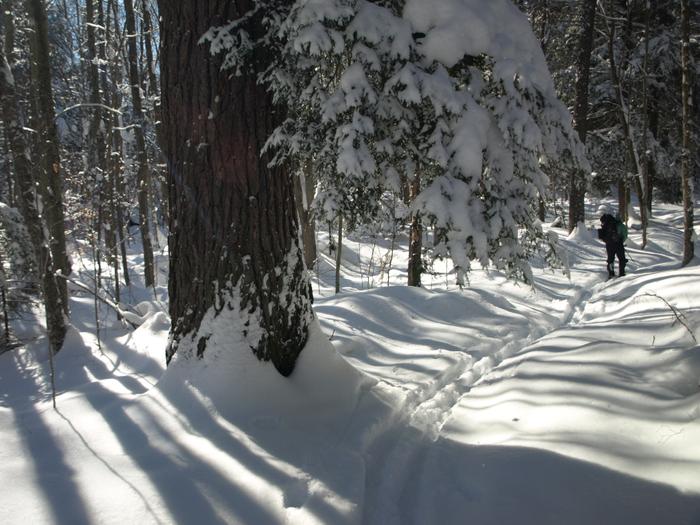 (Credit: Clifton-Fine ADK)