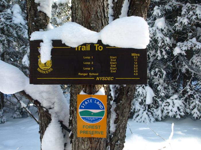 (Credit: Clifton-Fine ADK)